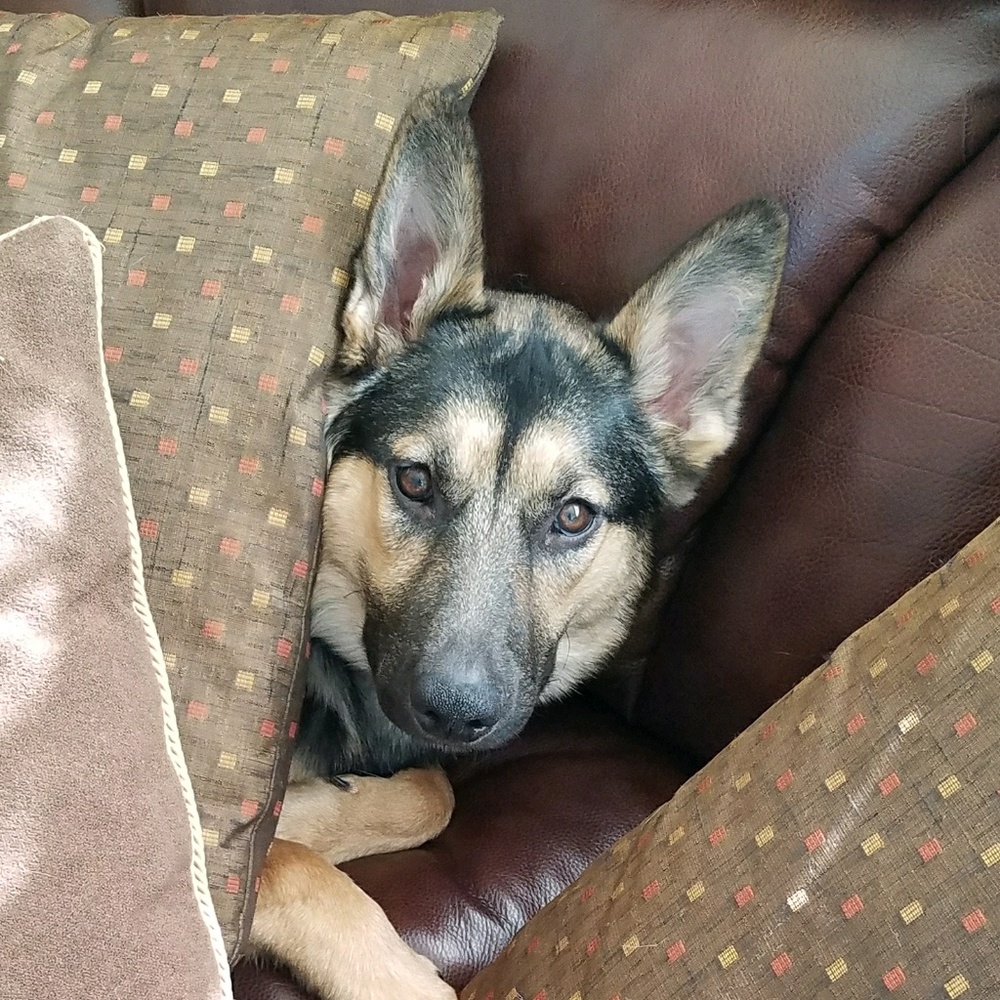 Meet your Posher, Christina